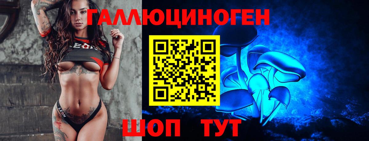 Псилоцибиновые грибы Cubensis Тайшет